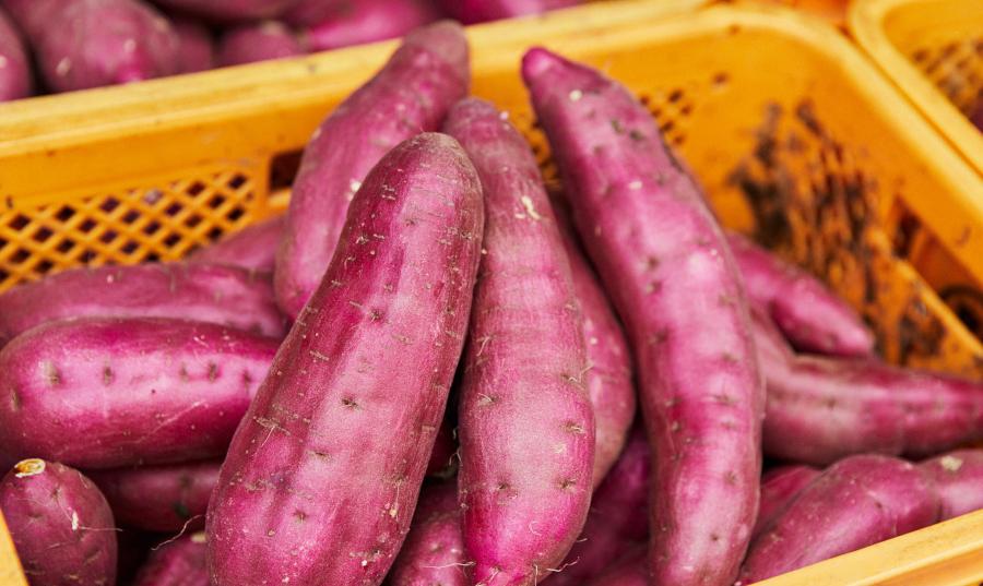 Benefits of Sweet Potatoes for Diabetes