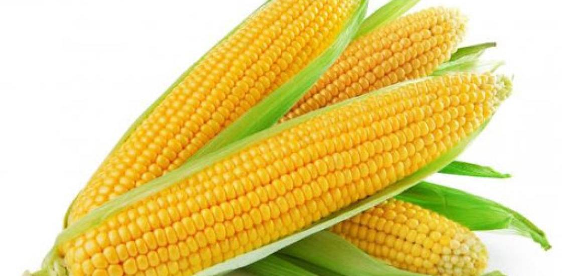 Corn 